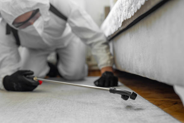 Professional Termite Control technician working in Melrose Park, NY