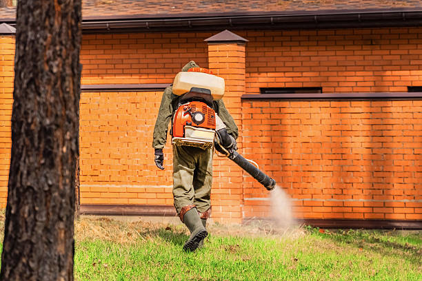 Trusted Mosquito Control service in Melrose Park, NY - Nex Pest Control